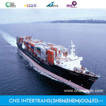 Sea Freight / Sea Shipping From Shenzhen / Guangzhou / Shanghai China to Manzanillo/ Lazaro Cardeas/Mexcio City